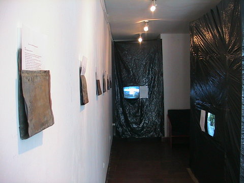 a6 HIBRID-8 performance+installation 2005