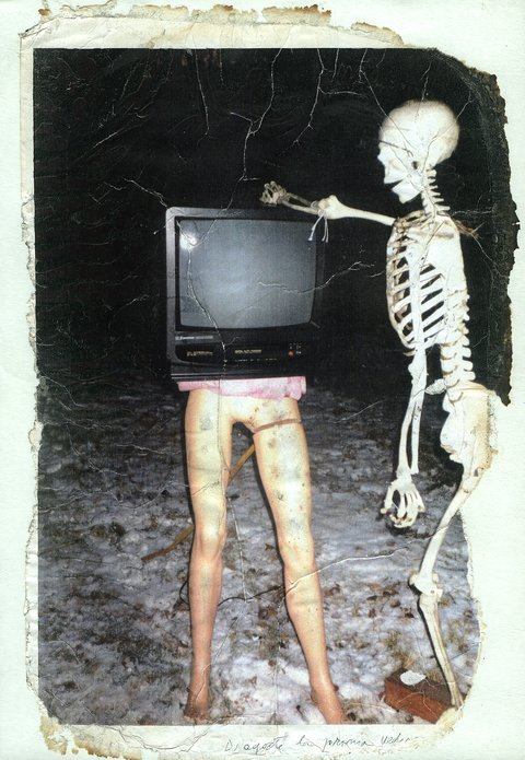 a2 A-NEW-STAR-IS-BORN installation 1995