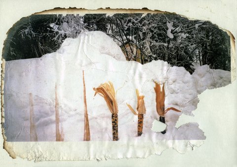 a3 CLIMATE-CHANGE installation 1994