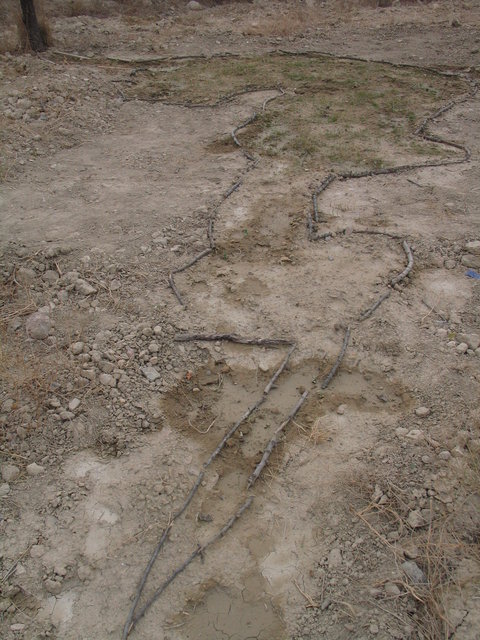 a2 SHADOWS -earth-and-sticks-600x100cm 2006