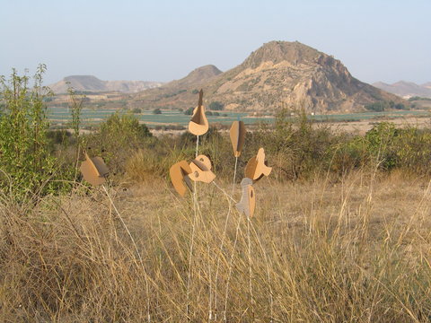 d1 SEEDS cardboard 160cm-high 2006