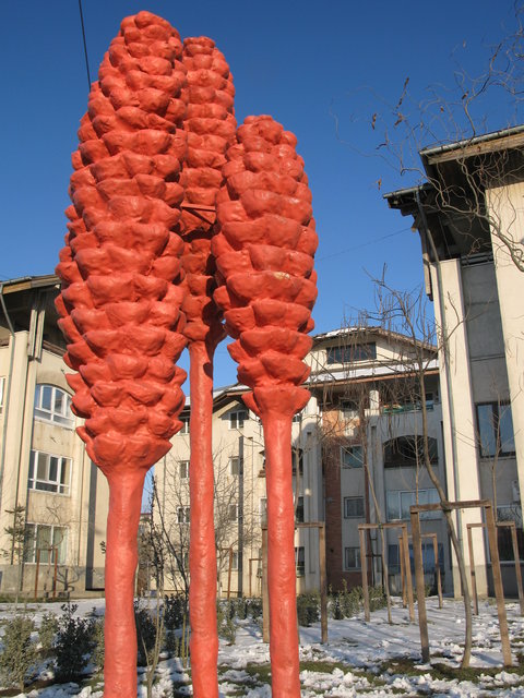 a3 Urban Plants Otopeni Romania 2008