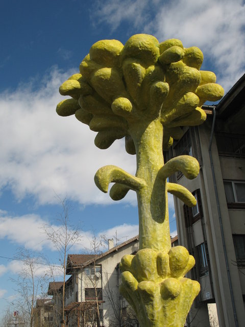 a6 Urban Plants Otopeni Romania 2008