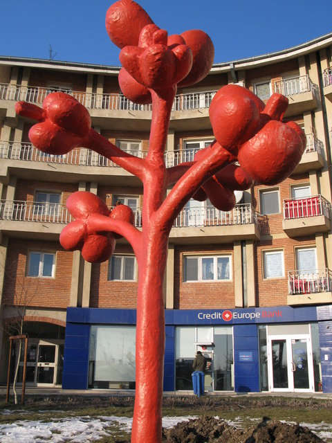 a7 Urban Plants Otopeni Romania 2008