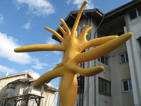 a9 Urban Plants Otopeni Romania 2008