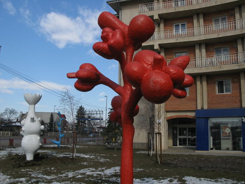b1 Urban Plants Otopeni Romania 2008