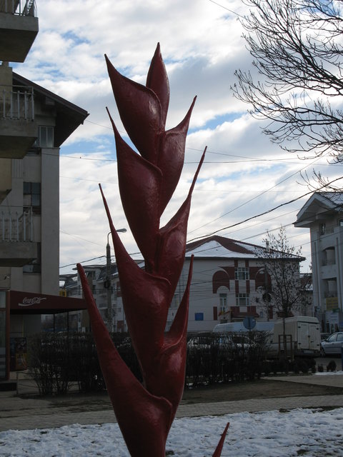 b2 Urban Plants Otopeni Romania 2008