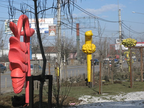 b6 Urban Plants Otopeni Romania 2008