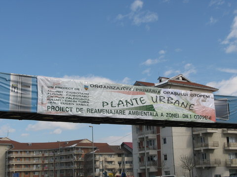 b7 Urban Plants Otopeni Romania 2008